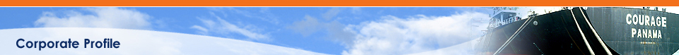 Corporate Profile