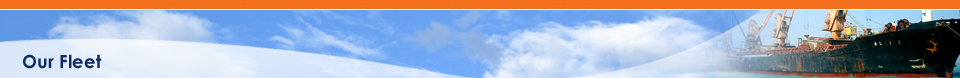 Corporate Profile
